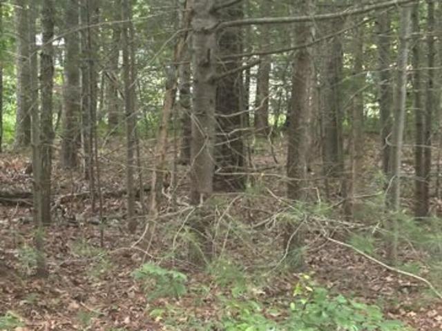 Land for sale in Mashpee