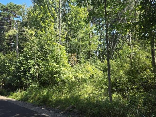 Land for sale in Saint Croix, Wisconsin