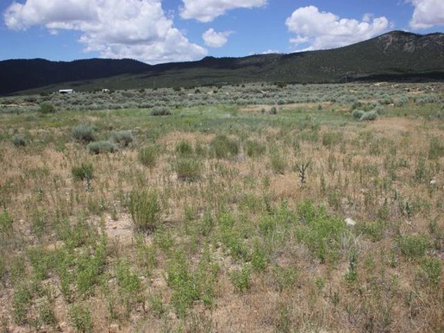 Land for sale in Questa, Taos County