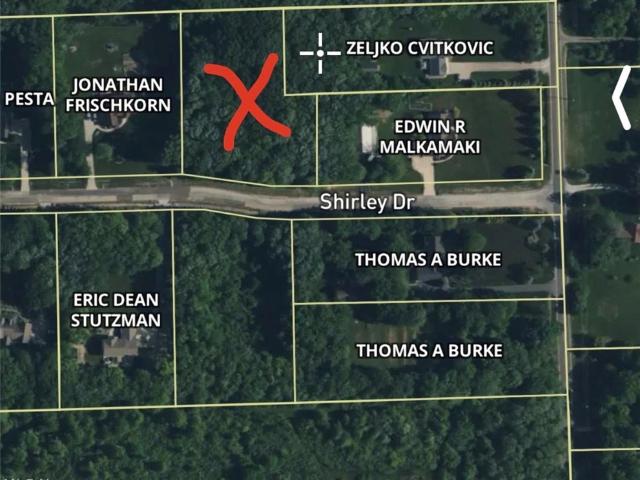 Land for sale in Painesville, Lake County