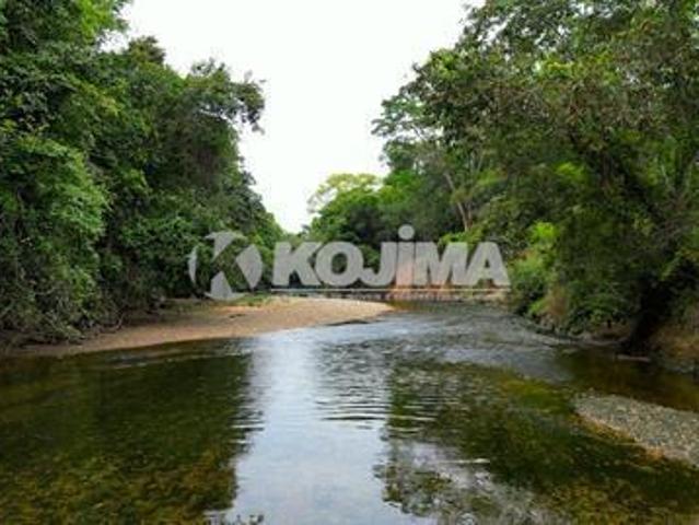 Sítio e chácara venda em Região Geográfica Imediata do Distrito Federal, Região Integrada de Desenvolvimento do Distrito Federal e Entorno