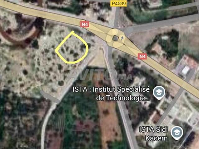 Propriété vente à Sidi Qacem