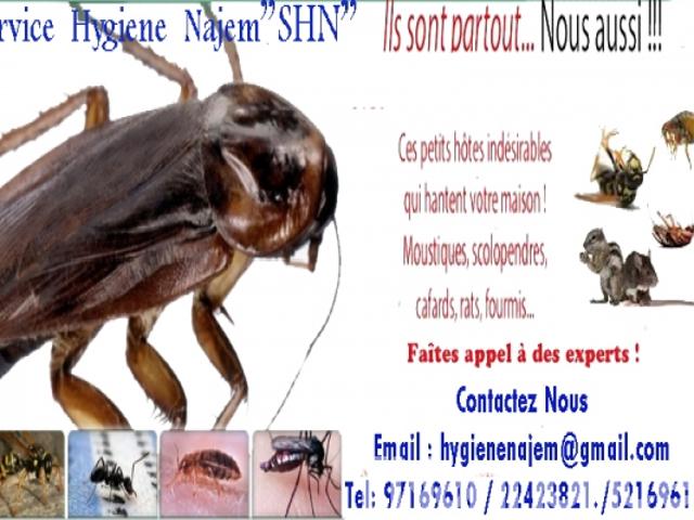 Propriété location