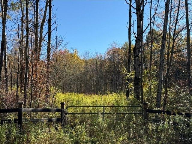 Farm for sale in Van Etten, New York