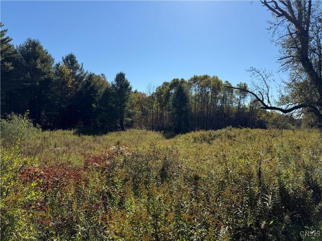 Land for sale in Van Etten, New York