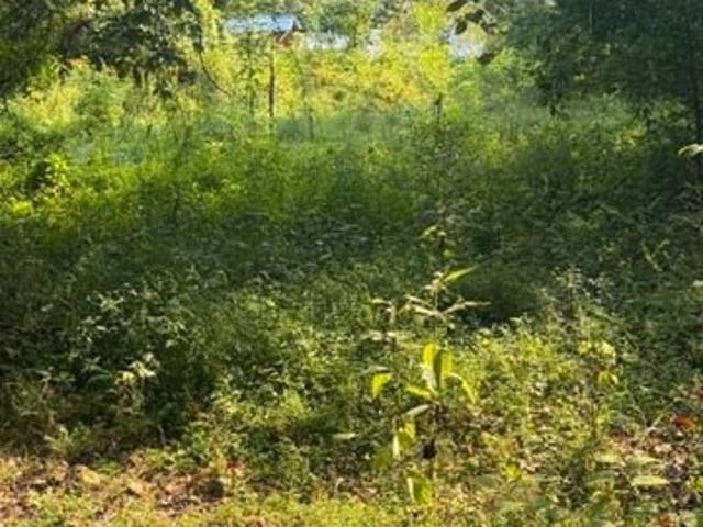 Land for sale in Printer, Kentucky