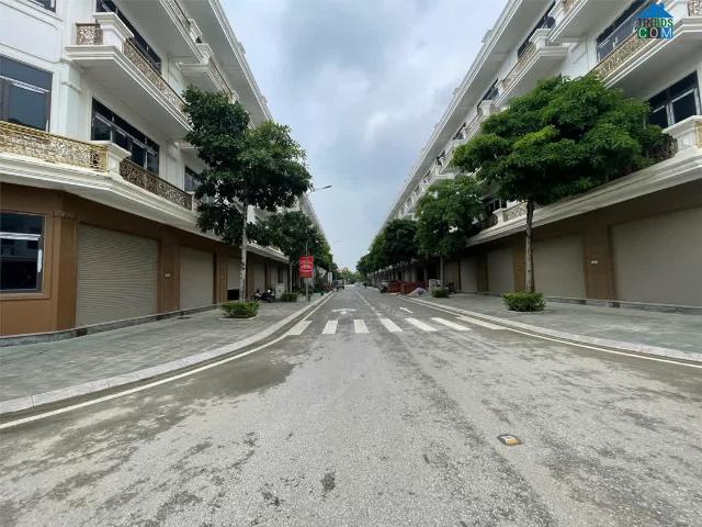 Biệt Thự bán