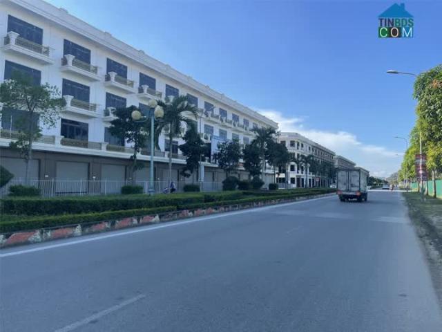 Biệt Thự bán
