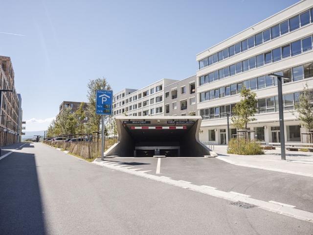 Immobilie kaufen in Crissier, Waadt