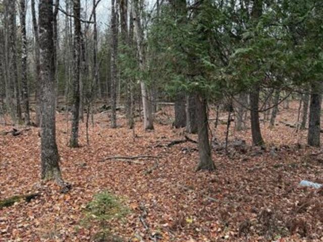 Land for sale in Dexter, Maine