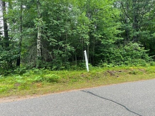 Land for sale in Vilas, Wisconsin