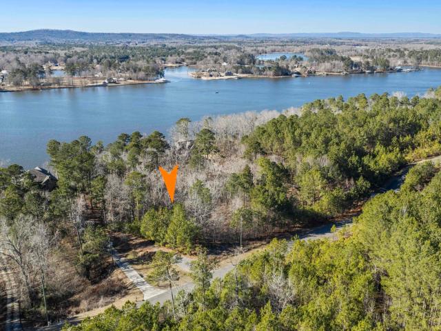 Land for sale in Alpine, Alabama