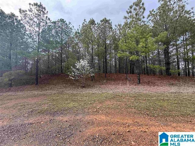 Land for sale in Alpine, Alabama