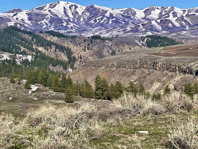Land for sale in Mountain Home, Idaho