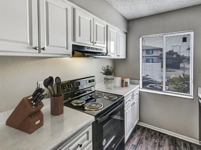 Apartment for rent in Saint Petersburg, Florida