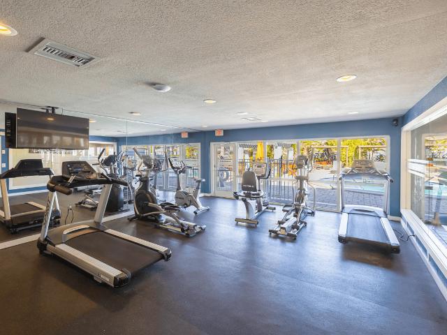 Apartment for rent in Saint Petersburg, Florida