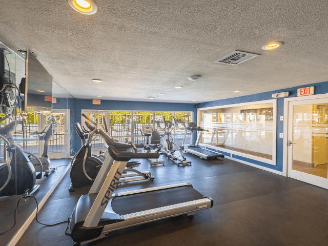Apartment for rent in Saint Petersburg, Florida