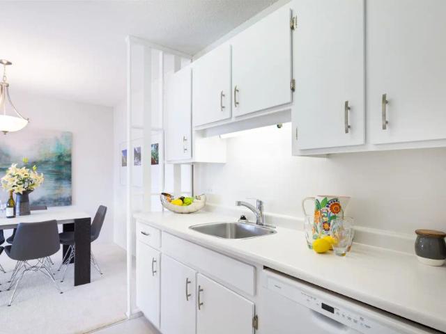 Apartment for rent in Ambleside, West Vancouver