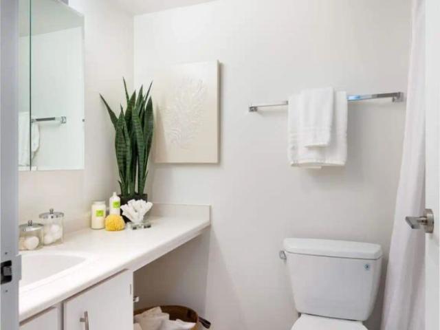 Apartment for rent in Ambleside, West Vancouver