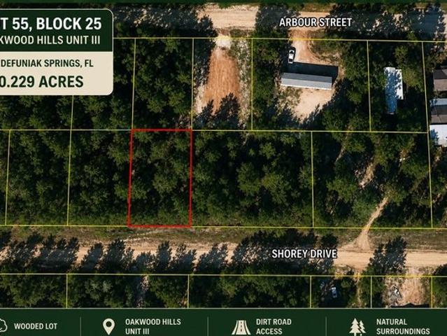 Land for sale in Walton, Florida