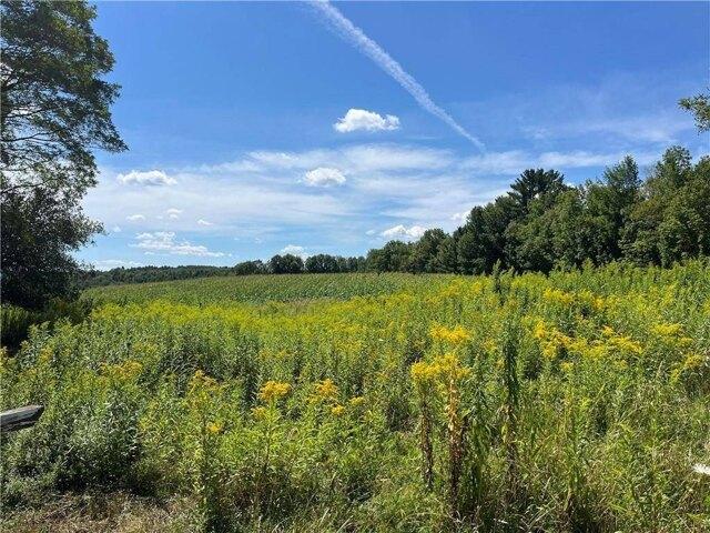 Land for sale in Maryland, New York