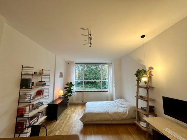 Studio for rent in De Beauvoir Town, Greater London