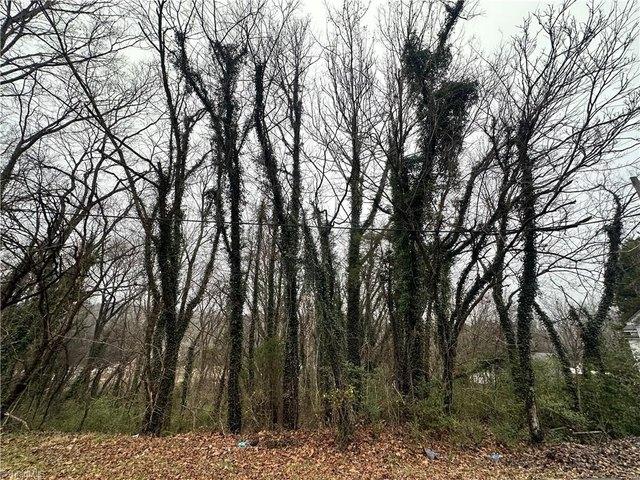 Land for sale in Eden, North Carolina