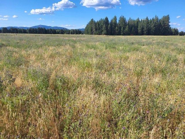 Land for sale in Deer Park, Washington