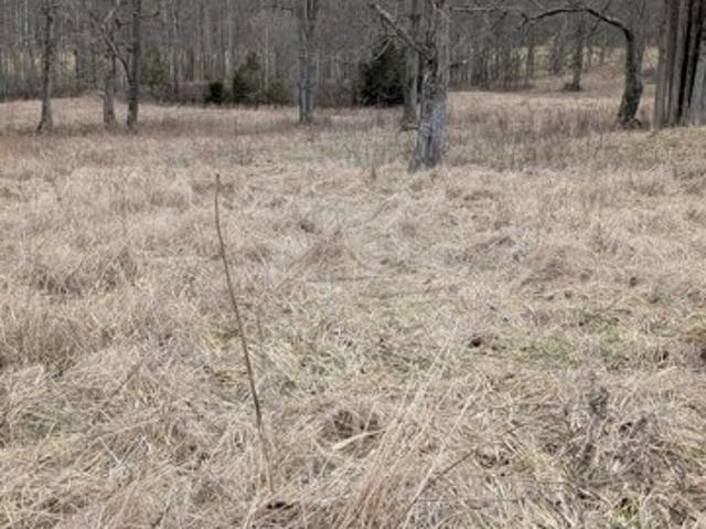 Land for sale in Salvisa