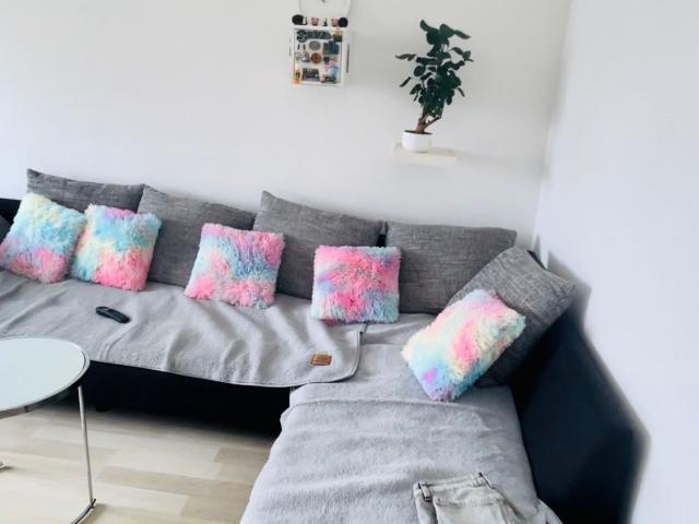Apartment mieten in Rosenfelder Ring, Berlin