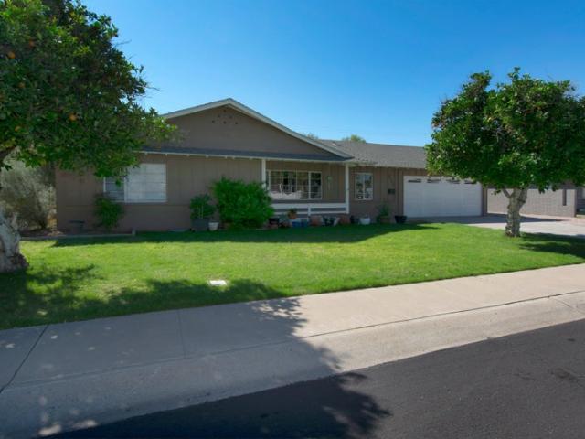 Room for rent in Scottsdale, Arizona