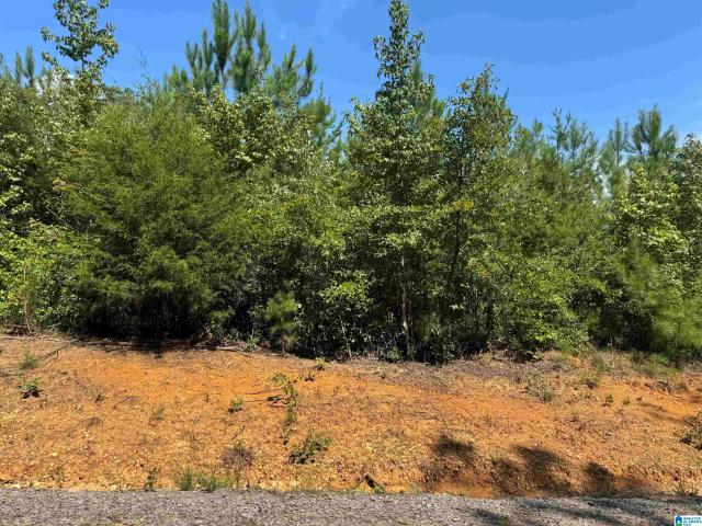 Land for sale in Vance, Alabama