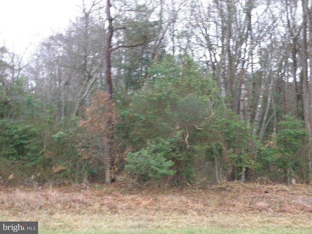 Land for sale in Delaware