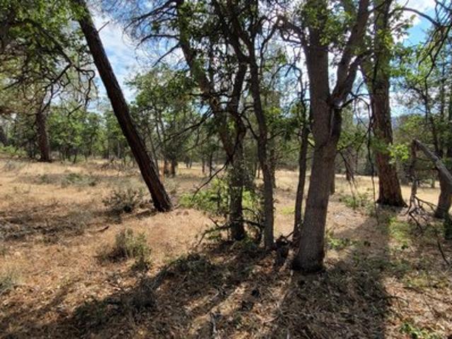 Land for sale in Shasta, California