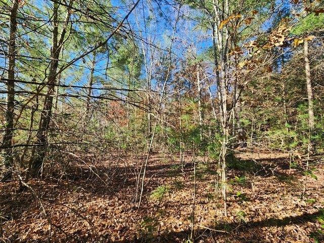 Land for sale in Tennessee