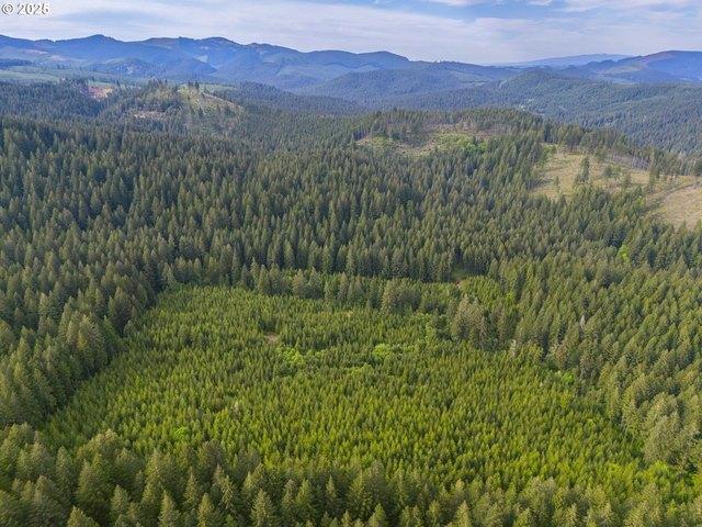 Land for sale in Marcola, Lane County
