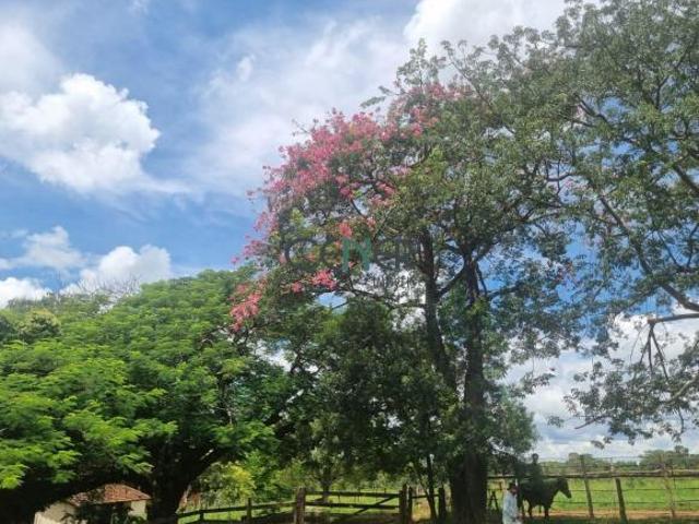 Sítio e chácara venda em Região Geográfica Imediata de Sete Lagoas, Região Metropolitana de Belo Horizonte