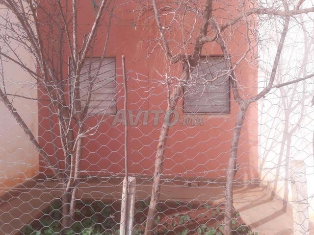 Appartement vente à Berkane