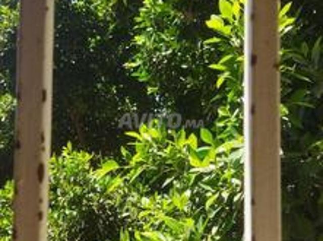 Appartement vente à Zouagha, Fès