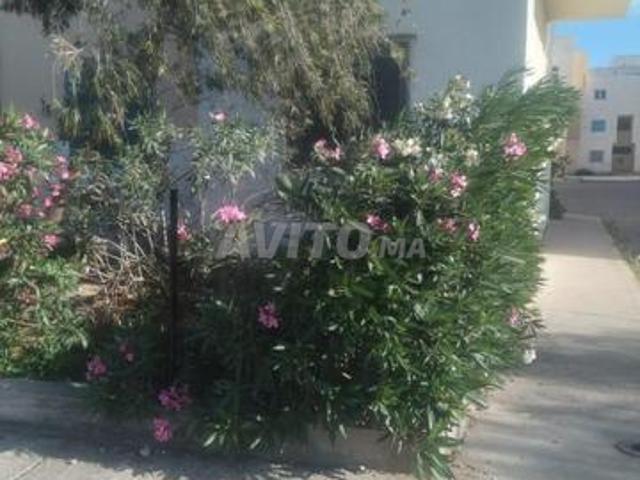 Appartement vente à Essaouira, L'Oriental