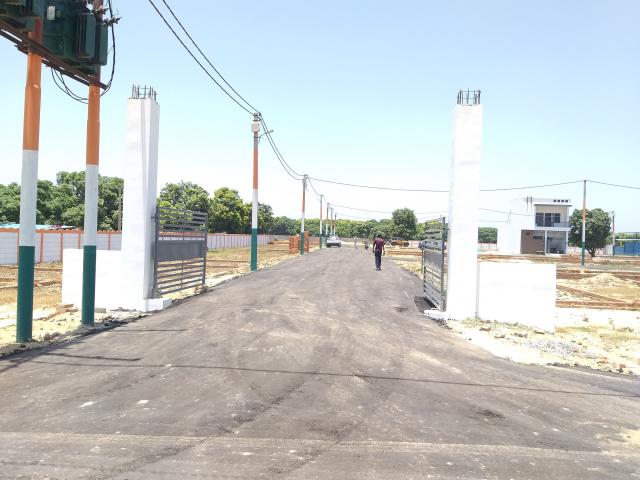 Land for sale in Jharli, Arunachal Pradesh
