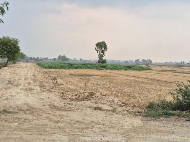 Commercial for sale in Bahadurgarh, Haryana