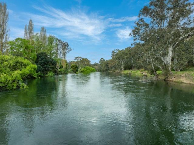Cottage for sale in Eildon, Victoria