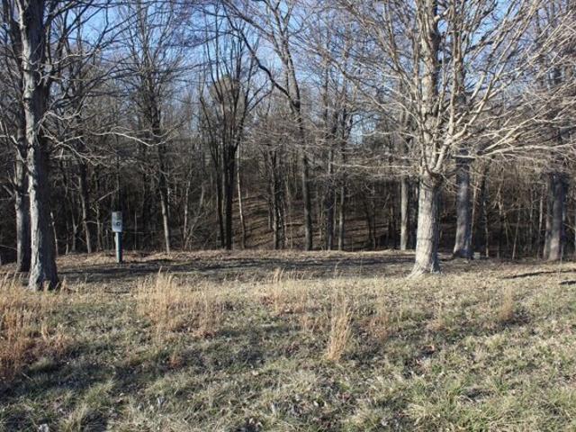 Land for sale in Westmoreland