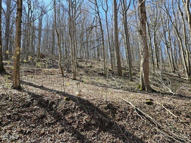 Land for sale in Virginia