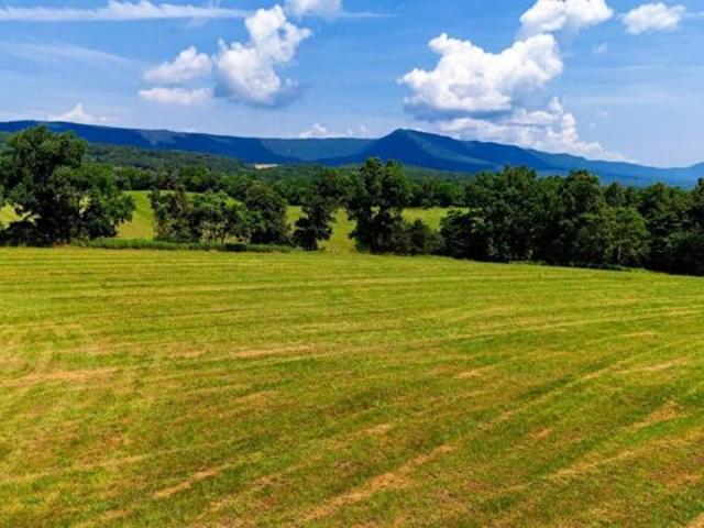 Land for sale in Stanley