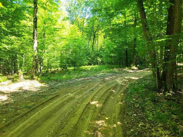 Land for sale in Bellaire, Michigan