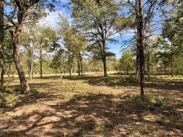 Land for sale in Hearne, Robertson County