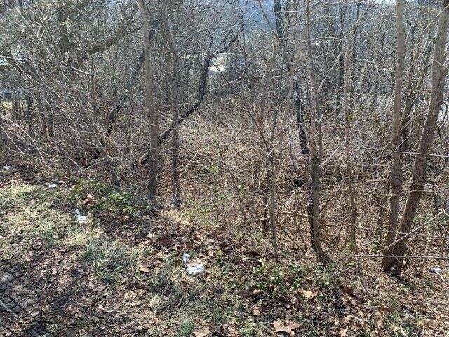 House for sale in Rich Creek, Giles County