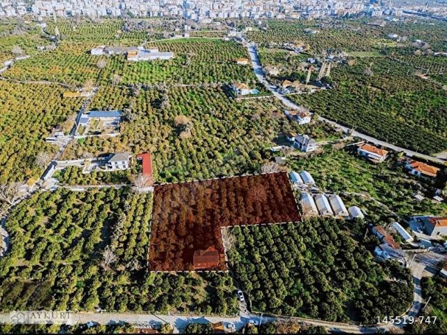 Seferihisar, İzmir içerisinde satılık mülk